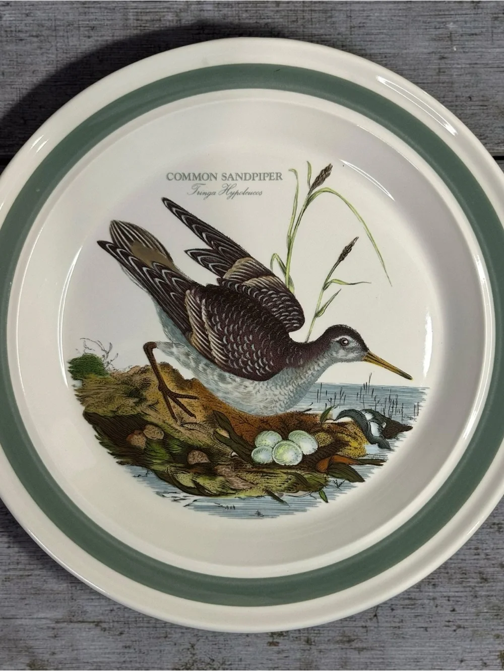 Vintage Portmeirion Birds of Britain 11” Plates Set of 6 Green Band 1978